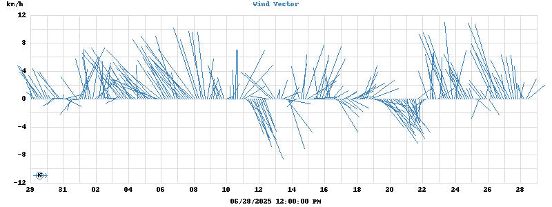 Wind Vector