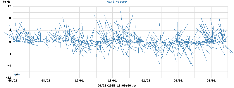 Wind Vector